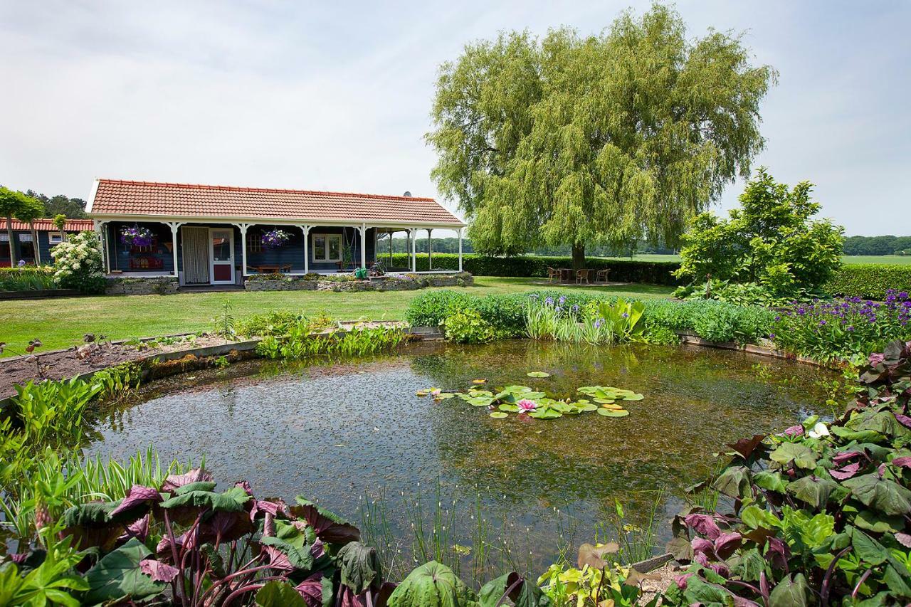 Inge'S Cottage Bergen op Zoom Exterior foto